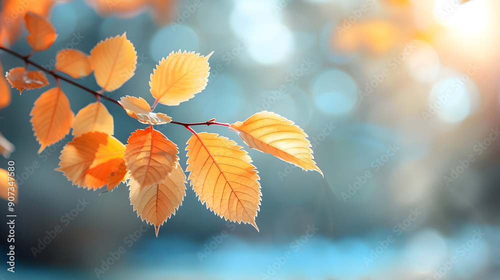 Autumn Leaves Branch Autumn Leaves Branch