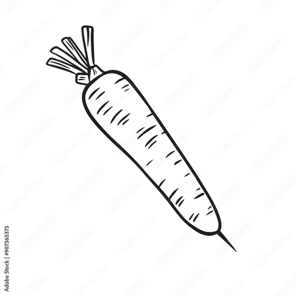 Obraz premium Fresh carrot. Healthy and vitamin-rich vegetable. Vector illustration in line style.