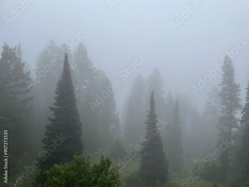 fog in the mountains