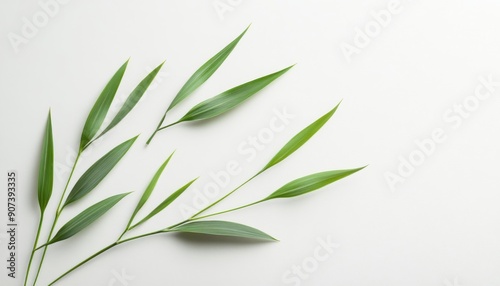 Abstract minimal design with green plant stems on a clean white background, highlighting the simplicity and elegance of nature