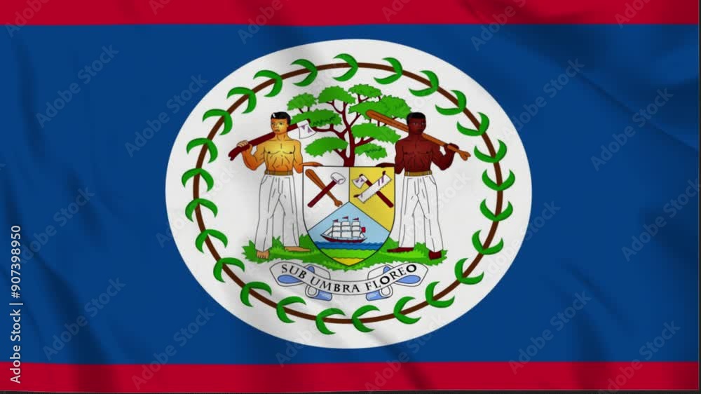 Belize waving flag, Belize 3D flag, Flag of Belize waving Animation, Belize waving flag 4K Footage