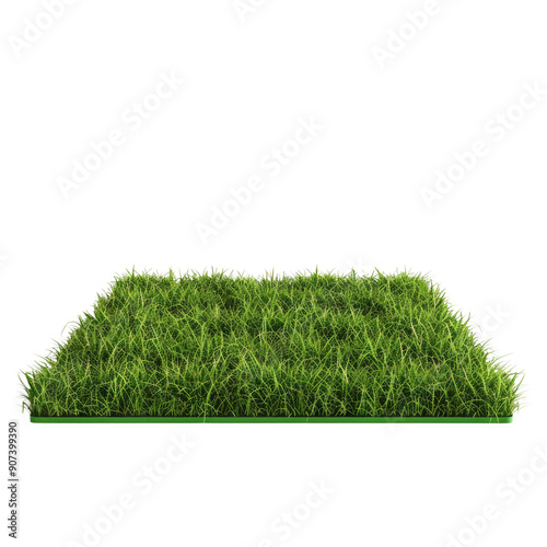 Lush Green Grass Patch Isolated on Black Background - Perfect for Botanical and Nature-Themed Projects