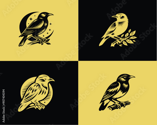 Myna icon line element. Vector illustration of myna icon 