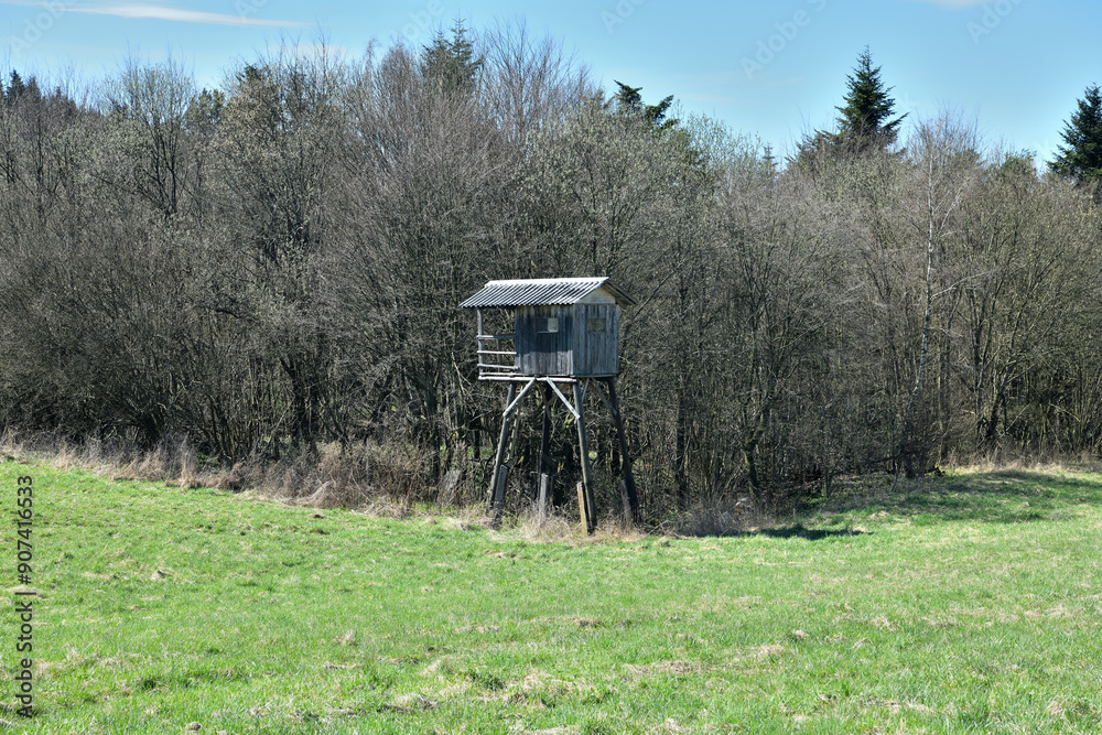 A wooden cottage for hunters hidden in the crown of a tree