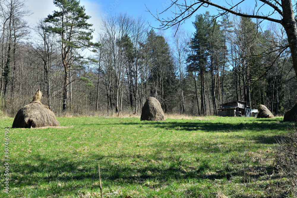 Hunting lodge on the edge of the forest overlooking the meadows for hunting animal