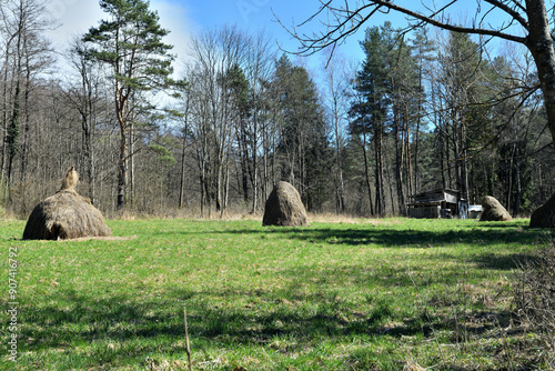 Obraz na płótnie Hunting lodge on the edge of the forest overlooking the meadows for hunting animal w salonie