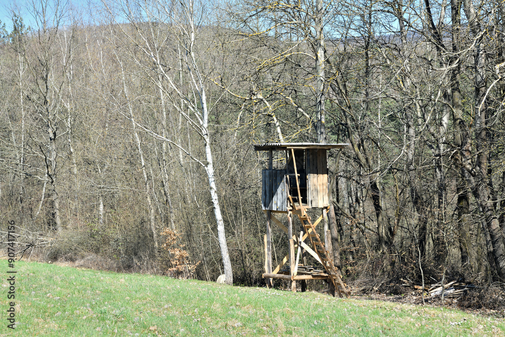 A wooden cottage for hunters hidden in the crown of a tree