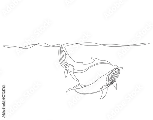 Continuous one line drawing of two blue whale swimming together. One line drawing illustration of blue whale swimming. Marine mammals concept line art. Editable outline.