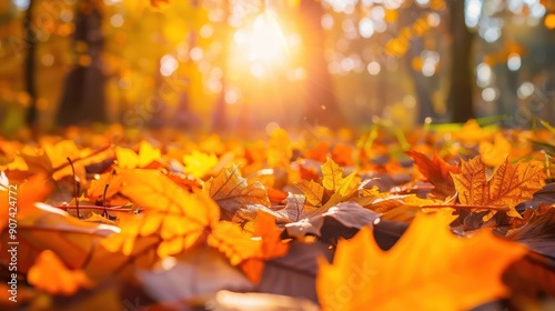 closeup fallen leaves forming vibrant carpet ground marking arrival fall season