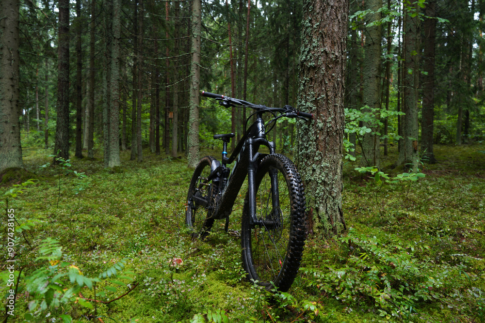 Electric mountain bike Scott on a forest trail. MTB E-bike ride on forest road in summer season. Electric bicycle ebike. Electric mountain bike Scott on a forest trail. MTB E-bike ride on forest road in summer season. Electric bicycle ebike.