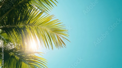 Bright palm leaves are backlit by the sun, creating a stunning contrast with the clear blue sky, evoking a sense of tropical bliss and tranquility