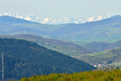 Green forest landscape in the background with snow-covered mountain peaks High Tatras in spring