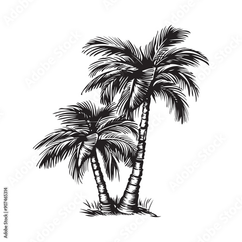 Palm Tree Summer Logo Design Vector. Palm Tree vector logo silhouette isolated on white background