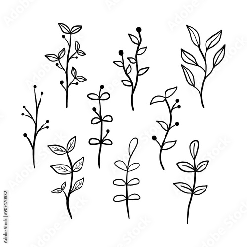 Set of black line doodle long stem leaves and pollen on white background. Vector illustration about nature.