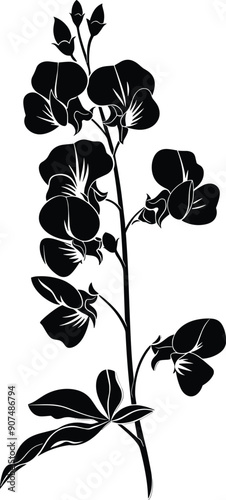 Sweet pea flower silhouette, Flat vector sweet pea flower illustration. beautiful sweet pea cathartic flower bouquet, blossom sweet pea, engraved ink art.