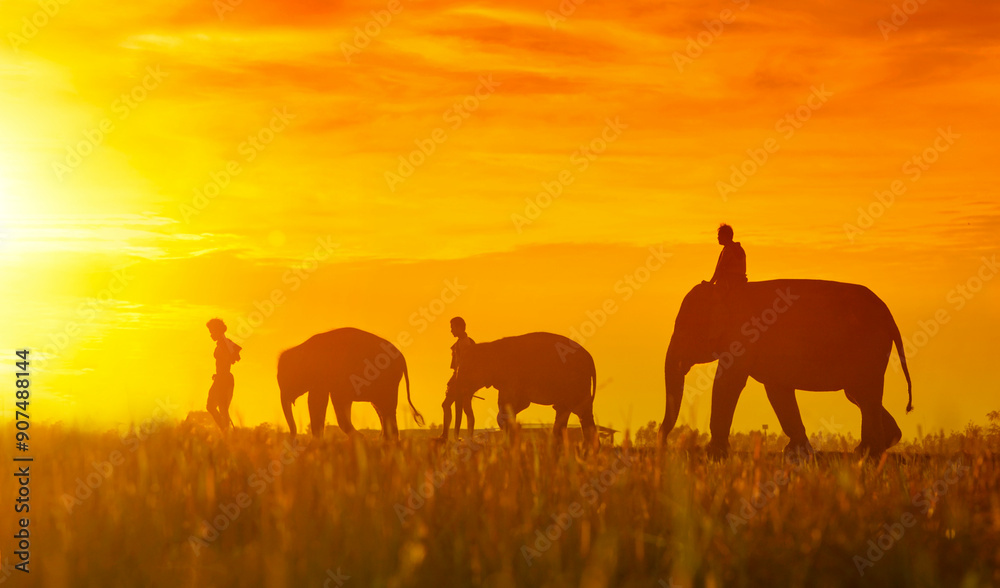 Silhouette Buddhist Monks people and elephant walking in morning at tropical rice field Silhouette Buddhist Monks people and elephant walking in morning at tropical rice field