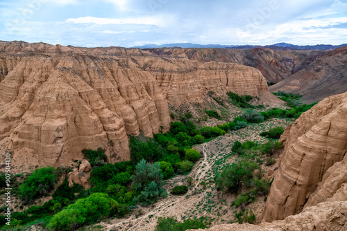 Moon Canyon Almaty, Kazakhstan. Yellow clay canyon with bright and green grass and trees at the bottom of the canyon. Great color contrast