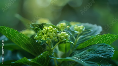 appearing like tiny clusters of hope amidst the greenery of the garden