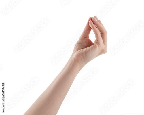 фотографія Female hand italian gesture isolated on white