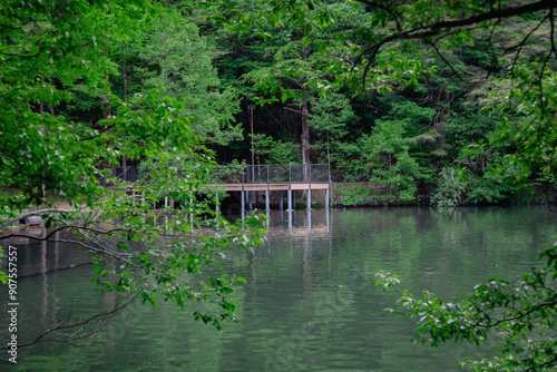 wooden bridge over the lake