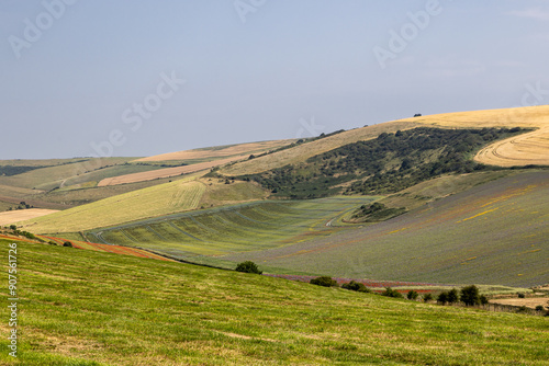 An idyllic South Downs summer landscape with poppies, flax and phacelia adding colour to the fields