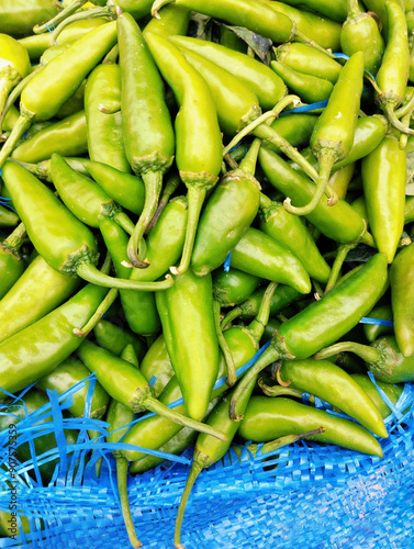 Green chilli chilly pepper vegetable food heap hari mirch, hareemirach, piment vert, spicy grunes chilli, peperoncino verde, capsicum frutescens,  prasino tsili, zelenyy perets, closeup image photo  photo