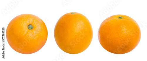 Panel kuchenny z motywem Set of citrus fruits isolated on white background