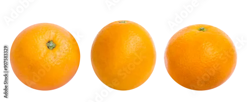 Obraz  z motywem Set of citrus fruits isolated on white background