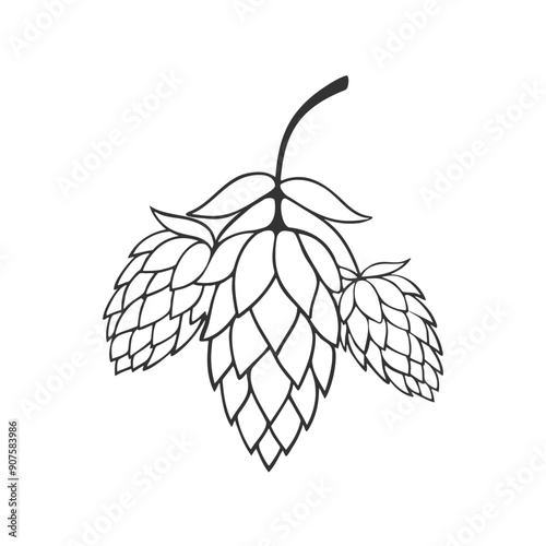 Hop plant with cones and leaves, doodle stylized contour drawing, logo icon element design.