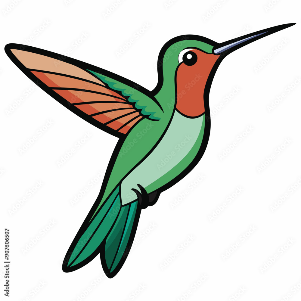 Broad-tailed Hummingbird Art vector illustration