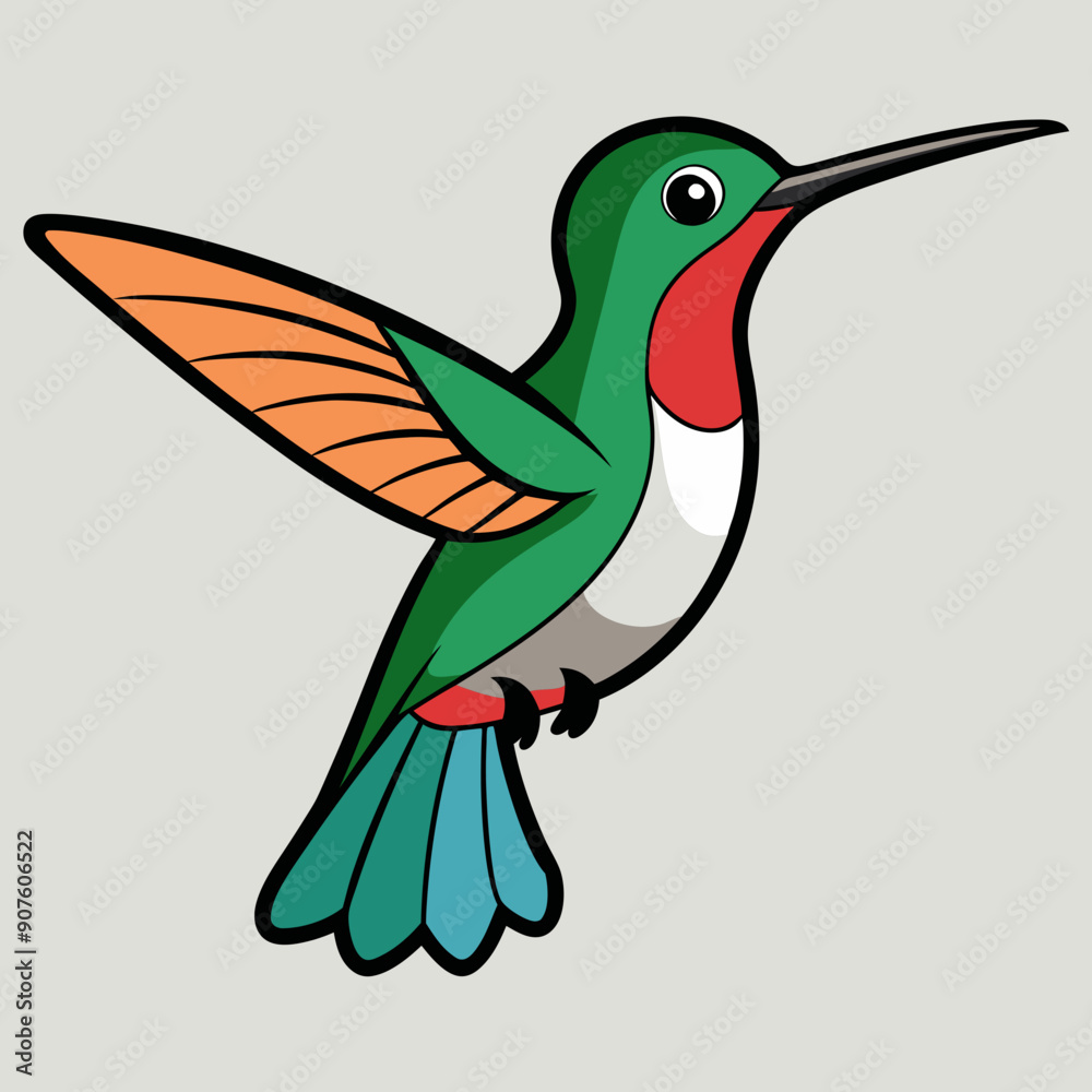 Obraz premium Broad-tailed Hummingbird Art vector illustration