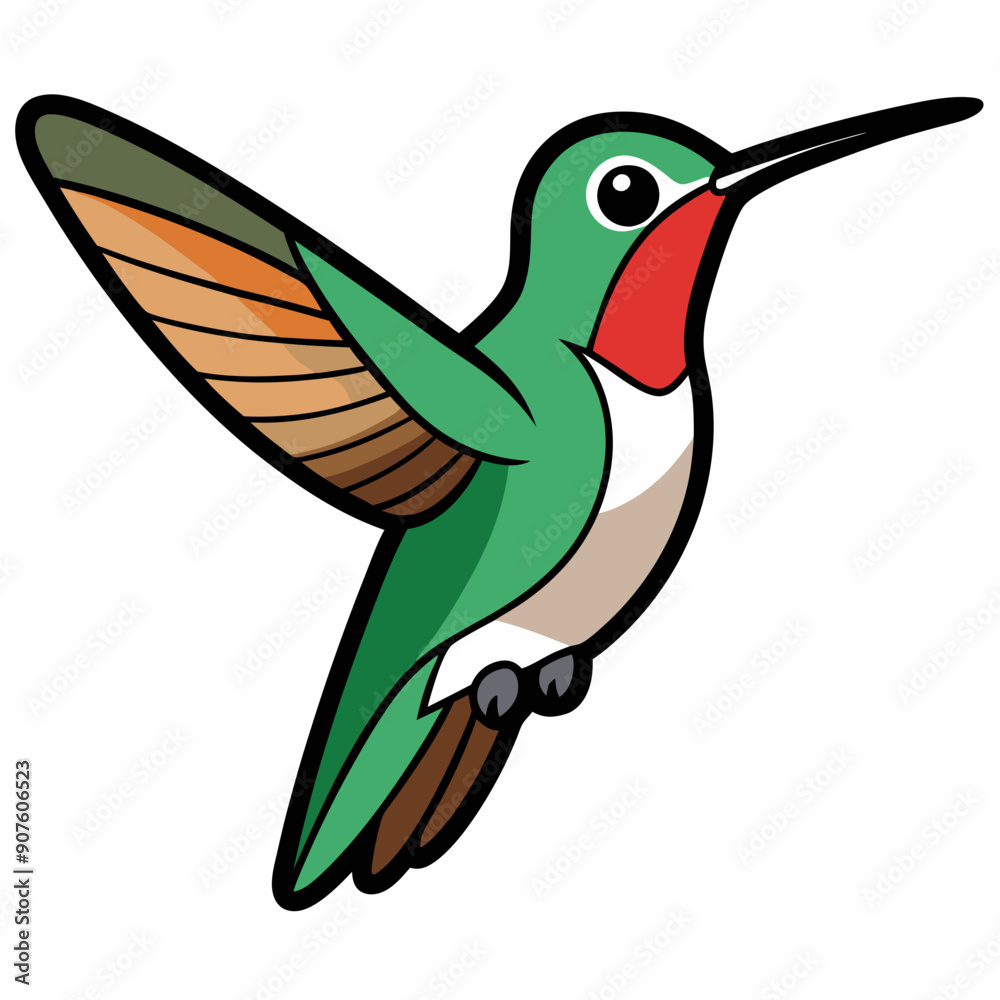 Obraz premium Broad-tailed Hummingbird Art vector illustration