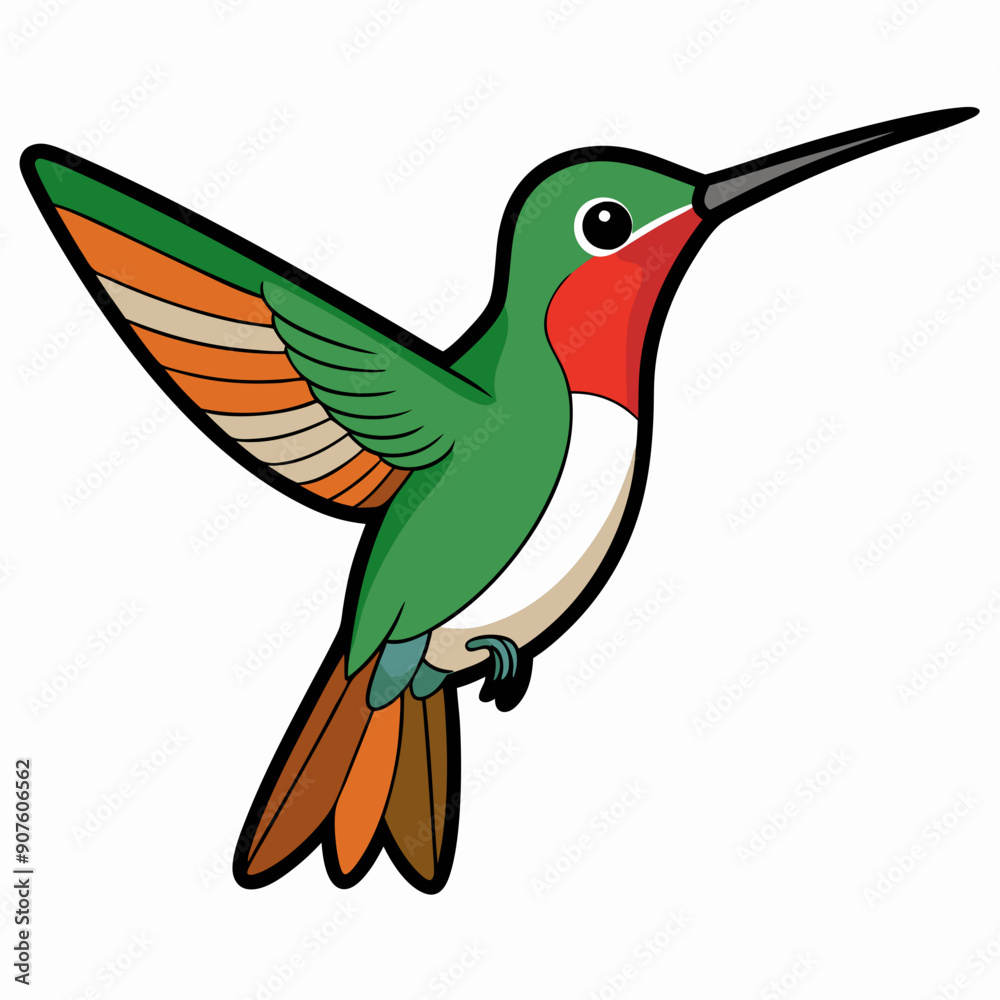 Broad-tailed Hummingbird Art vector illustration Broad-tailed Hummingbird Art vector illustration