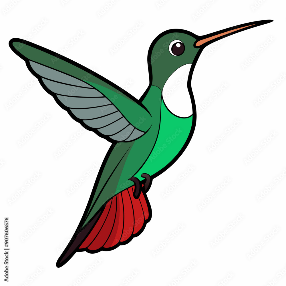 Obraz premium Broad-tailed Hummingbird Art vector illustration