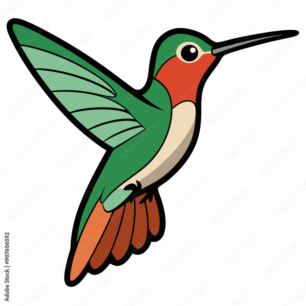 Broad-tailed Hummingbird Art vector illustration