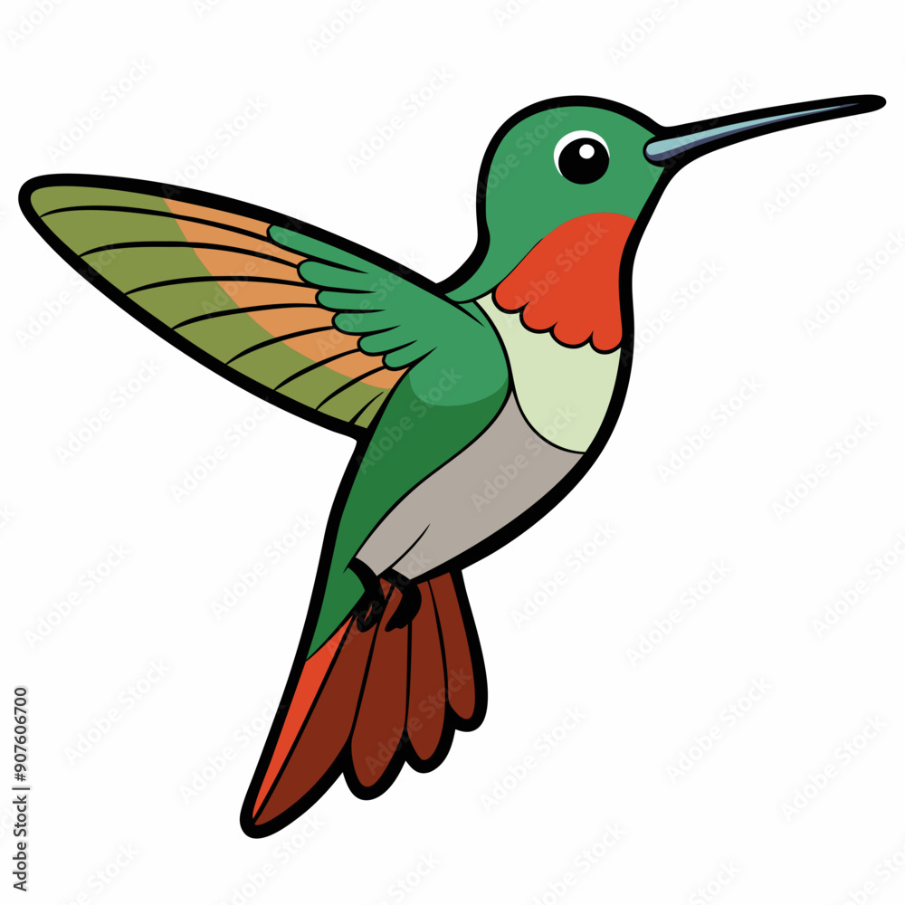 Obraz premium Broad-tailed Hummingbird Art vector illustration