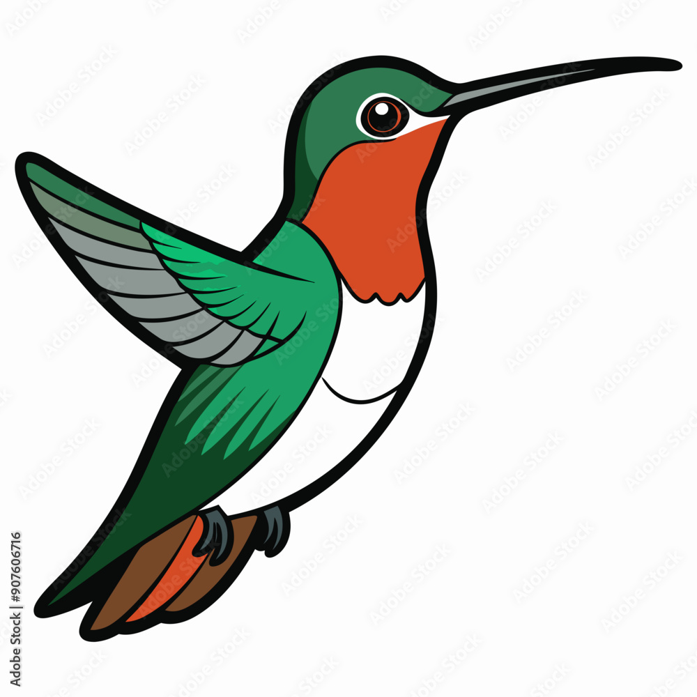 Obraz premium Broad-tailed Hummingbird Art vector illustration