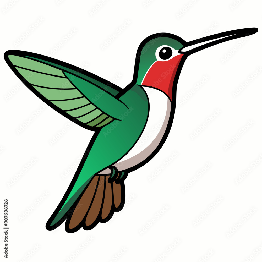 Obraz premium Broad-tailed Hummingbird Art vector illustration