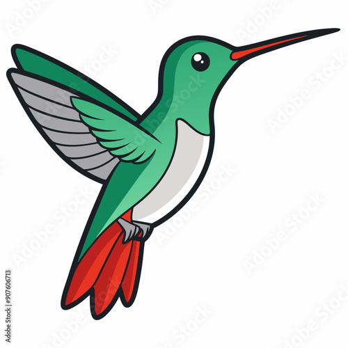 Broad-tailed Hummingbird Art vector illustration