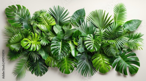 Beautiful arrangement of tropical plants with lush green leaves on a plain white background, capturing the essence of natural indoor decor