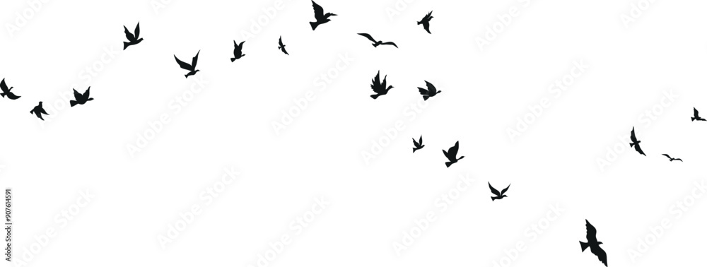 Obraz premium Flying birds silhouette set clipart isolated on white background
