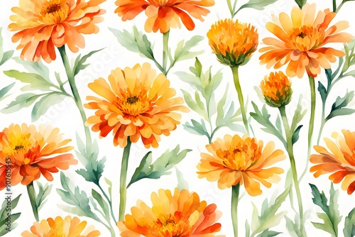 Watercolor pot marigold flowers white background, Ai Generated