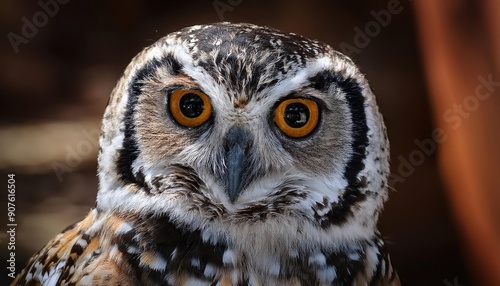 These raptors have excellent hearing and can rotate their heads up to 270 degrees. They regurgitate pellets containing indigestible parts of prey.

