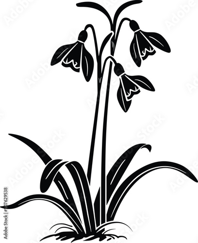 Snowdrop flower silhouette, black silhouette of snowdrop flower isolated. Spring flower vector icon, Snowdrop illustration, drawing, engraving, ink, vector.