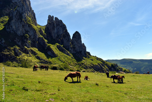 Horses and mares under the Atxak of Itxina in Gorbeia (or Gorbea)  Natural Park photo