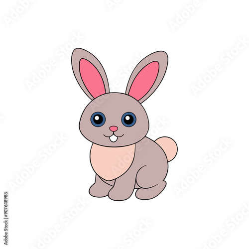Rabbit white backgroun 
