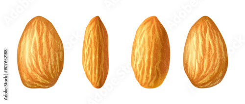 Set of almond nuts Illustration on Transparent Background