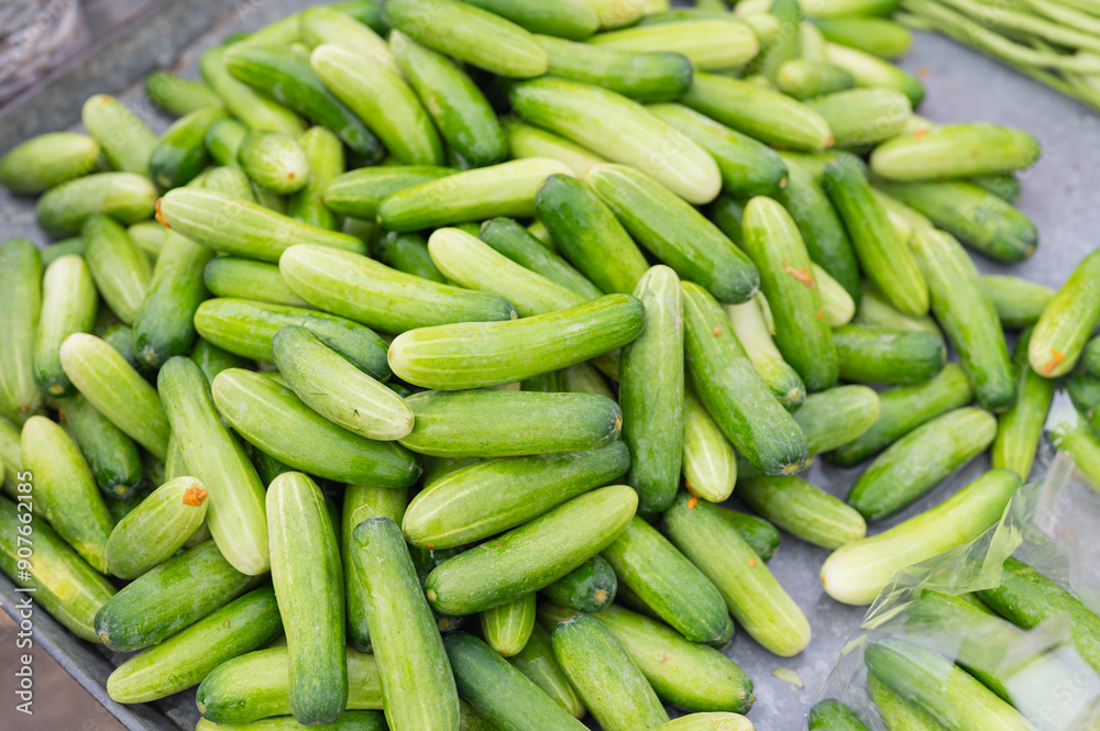 A large pile of cucumbers on a table. The cucumbers are green and appear to be fresh A large pile of cucumbers on a table. The cucumbers are green and appear to be fresh