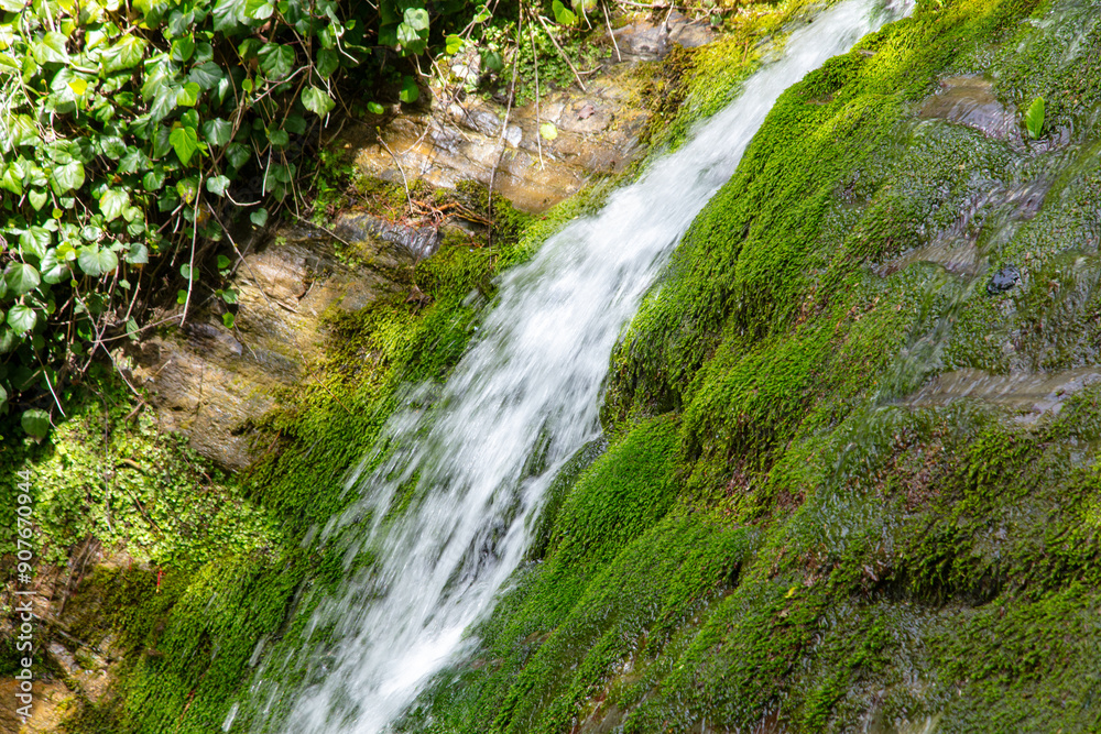 Waterfall on the river in nature in summer Waterfall on the river in nature in summer
