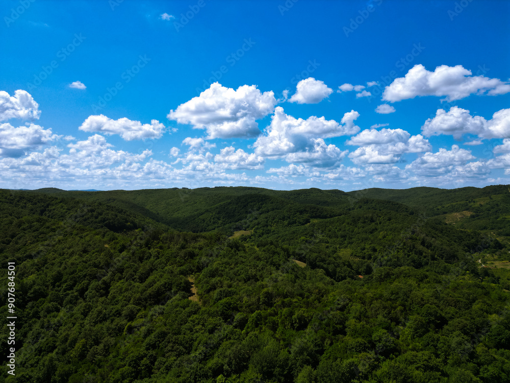 aerial view of forest in cloudy summer day aerial view of forest in cloudy summer day